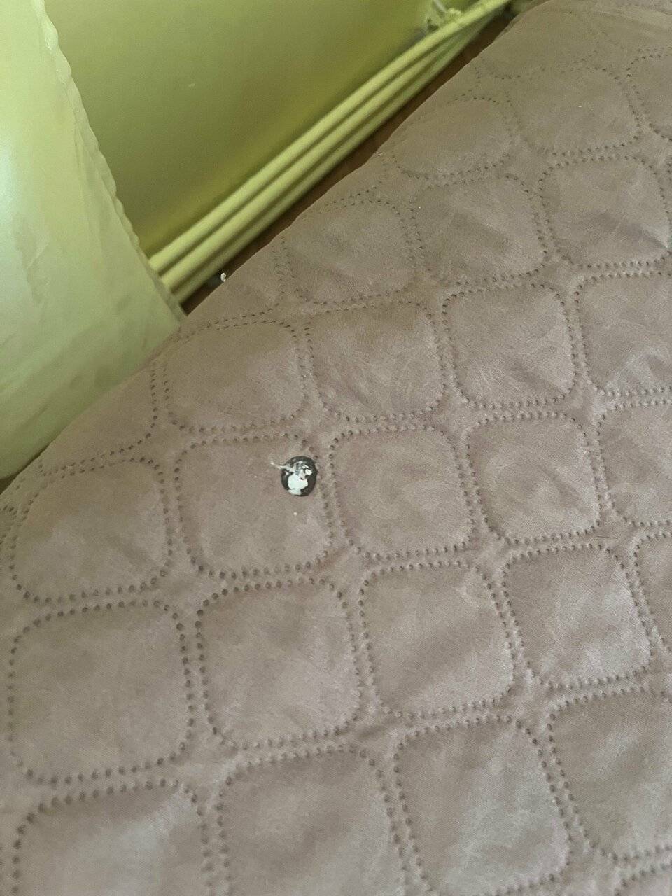 Фото Гостиницы Причал Калуга 112